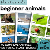 ESL Animal Flashcards Flash Cards- Vocabulary for High School & Adult Beginners