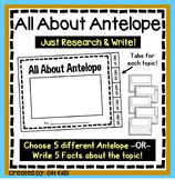 Antelope Report, Antelopes Species Book, Animal Flip Book, Grassland Animals