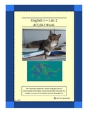 English I List 2 ~ ACT/SAT Words  (English) Distance Learning