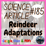 Reindeer Adaptations Christmas Science Article | Literacy | Printable + Digital