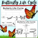 Butterfly Life Cycle Labeling - I can color and label the butterfly life cycle