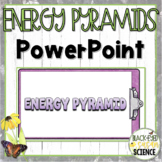 Energy Pyramid PowerPoint | NGSS Life Science Energy Transfer Visual Slides