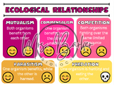 Ecology Anchor Chart Poster Bundle