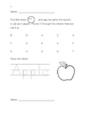 Reading Fluency