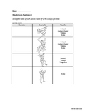 [Physical Education] Weight Training - Unit Planner, Lessons Agenda