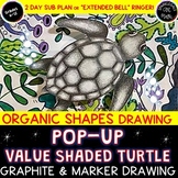3-D Sea Turtle Drawing & Graphite Shading Art Lesson-Upper Elementary & Middle