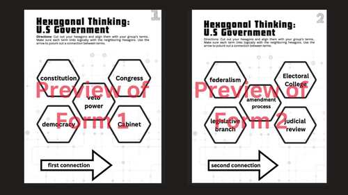 US Government Hexagonal Thinking Activity