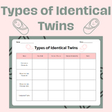 Types of Identical Twins Organizer