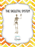 The Skeletal System: Unit Plan