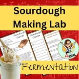 Sourdough Starter Lab: Cooking & Yeast Microscope Investigation