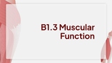 IB Sports, Exercise, and Health Science B1.3 Muscular Function Slides and Notes