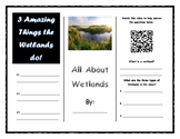 Wetlands