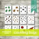 COUNTING INSECTS / BUGS ? Numbers 1 to 20 ? Counting Cards ? Clip Cards