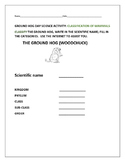 GROUNDHOG DAY SCIENCE ACTIVITY: CLASSIFICATION OF GROUNDHOGS/MAMMALS