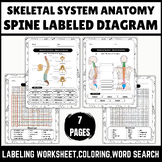 Skeletal System: Spine Anatomy | Vertebral Column Labeled Diagram | Coloring