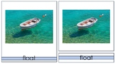 Montessori 3 part Nomenclature Cards - Sink/Float