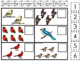 Birds Themed Match the Number Printable Preschool Math Curriculum Game.