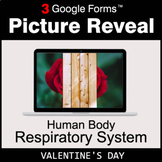Valentine's Day: Human Body: Respiratory System - Picture Reveal | Google Forms