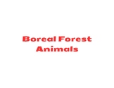 Boreal Forest Animal Three-Part Cards