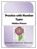 Practice with Number Types Hidden Picture - Great End-of-Year Activity!
