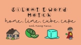 Silent E Sort - CVCE words