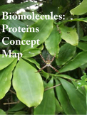 Biomolecules: Proteins Concept Map (High/Middle School)
