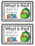 What Is This? (Chinese and English)