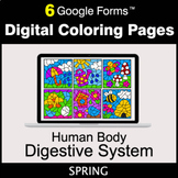 Spring: Human Body: Digestive System - Google Forms | Digital Coloring Pages