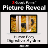 Autumn: Human Body: Digestive System - Picture Reveal Game | Google Forms