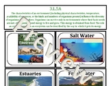 3rd Grade South Carolina Concept Board: Life Science-Environments and Habitats
