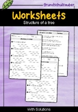 Structure of a tree | Worksheets with Questions + Answers | English