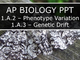 AP Biology (2015) - 1.A.2-3 - Phenotypic Variation & Genetic Drift PowerPoint