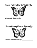 New and Improved Butterfly observation book