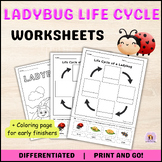 Ladybug Life Cycle Worksheets Differentiated  + Ladybug Coloring Page | Spring