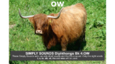 Simply Sounds: Diphthongs Book 4-OW