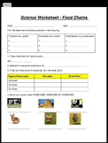 Science Worksheet - Food Chain Worksheet