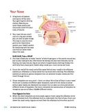 Your Nose - Informational Text Test Prep