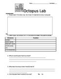 Zoology Octopus Lab Dissection