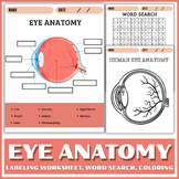 Eye Anatomy Worksheet Pack Â¨C Label, Color, Search & Learn