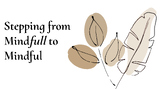 Mindfull to Mindful: Mindfulness- What it is and why/how to practice it!