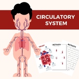 Circulatory System Activities - Heart | Blood | Human Body