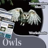 Animal Outlines: Owls
