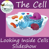 The Cell: Looking Inside Cells Powerpoint Slideshow