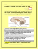 THE PINEAL GLAND: A T/F QUIZ WITH 1 EXTRA CREDIT FILL IN: GRS.7-12, AP BIO, MG