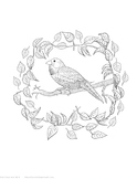Printable Coloring Page of a finch on a branch