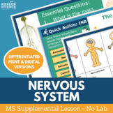 Nervous System - MS 6-8 Supplemental Lesson - No Lab