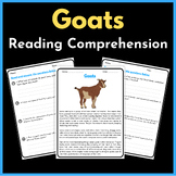 Goats: Reading Comprehension Worksheet - Informational Text