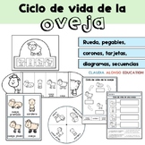 Actividades del ciclo de vida de la oveja - Sheep Life Cycle (Spanish)