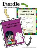 Plant Observation Journal Parts of a Plant Mini Booklet