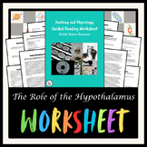 The Role of the Hypothalamus Guided Reading Worksheet - Anatomy